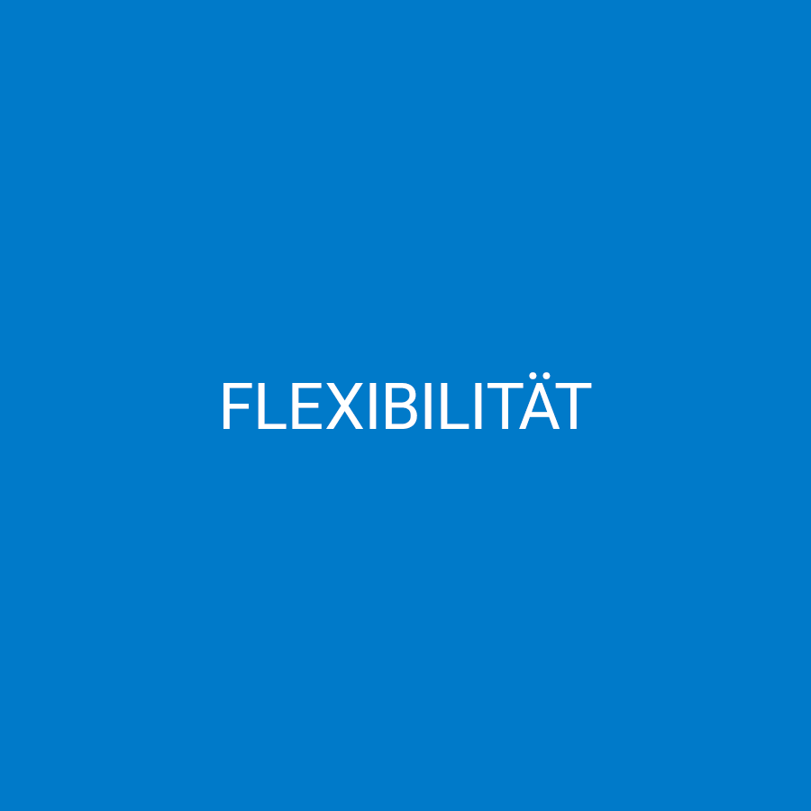 Flexibilität – Job Benefits beim PTLS Pol